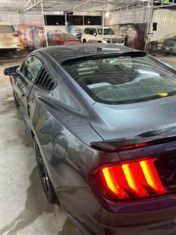 فۆرد مۆستانگ